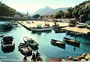 426- Collo - Spiteri 03